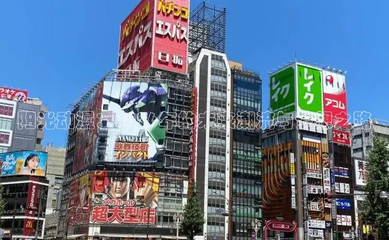 顺盈娱乐在线注册