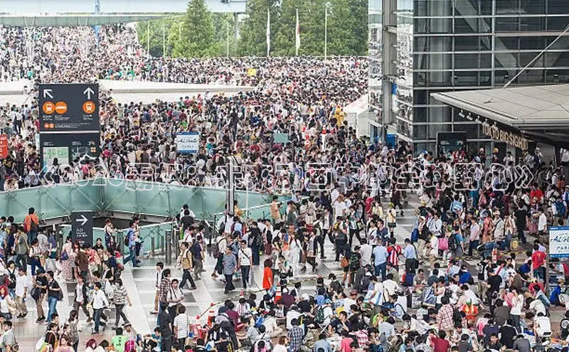 顺盈娱乐登录入口